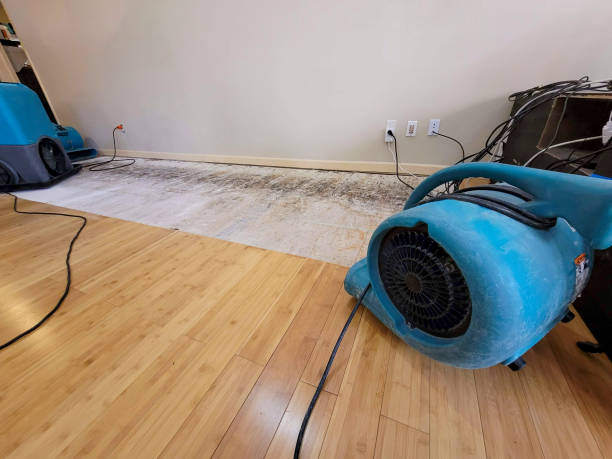 Professional Water Damage Repair technician working in Burnsville, NC